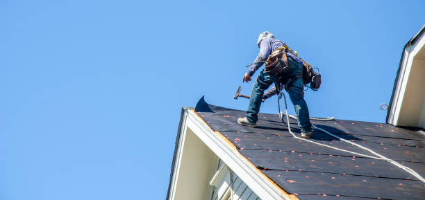 Best Roof Gutter Cleaning  in West Kittanning, PA